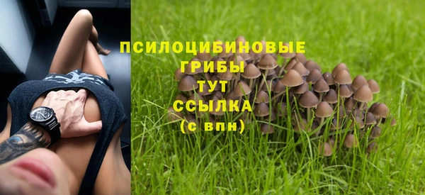 гидропоника Алзамай