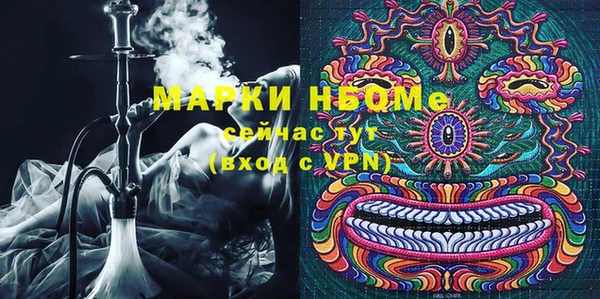гидропоника Алзамай
